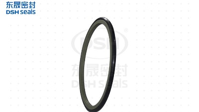 nok旋轉(zhuǎn)軸密封格萊圈|特急件2件時(shí)發(fā)貨