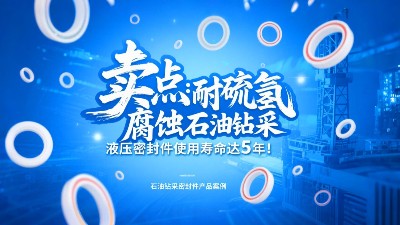 賣點?：耐硫化氫腐蝕！石油鉆采液壓密封圈使用壽命達(dá)5年！
