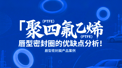 聚四氟乙烯（PTFE）唇型密封圈的優(yōu)缺點(diǎn)分析！