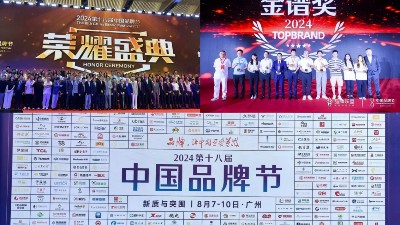 東晟密封件閃耀2024第十八屆中國(guó)品牌節(jié)，榮獲密封技術(shù)“金譜獎(jiǎng)”
