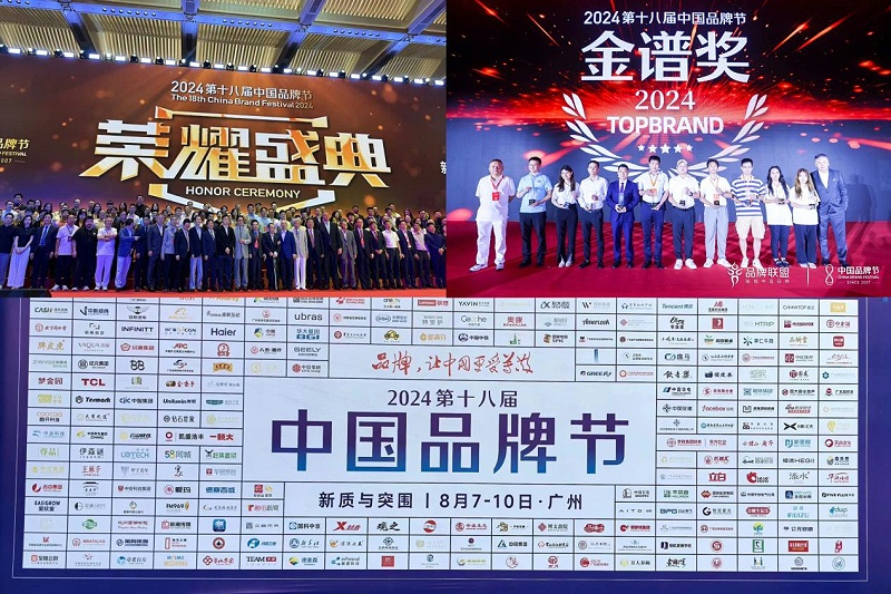1東晟密封件閃耀2024第十八屆中國品牌節(jié)，榮獲密封技術(shù)“金譜獎”