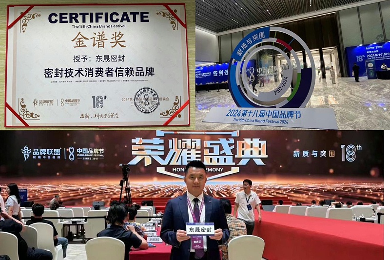 3東晟密封件閃耀2024第十八屆中國品牌節(jié)，榮獲密封技術(shù)“金譜獎”