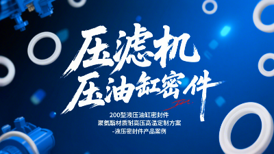 壓濾機(jī)200型液壓<i style='color:red'>油缸密封圈</i>！聚氨酯材質(zhì)耐高壓高溫定制方案