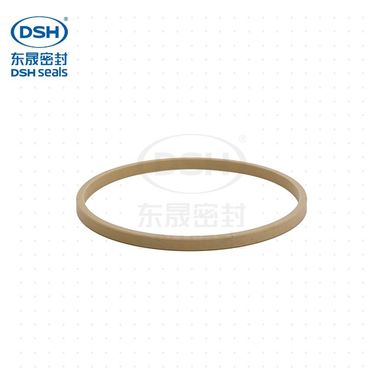 DSF孔用格萊圈 DSF孔用格萊圈