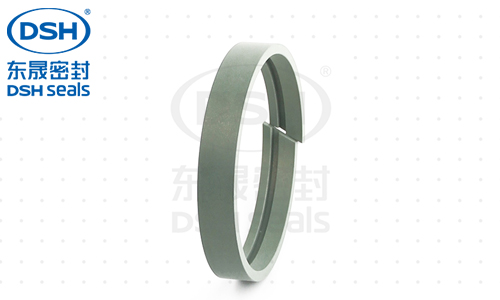 孔用導向環(huán)（導向帶）DFA