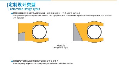 <i style='color:red'>唇型密封圈泛塞封</i>定制設(shè)計(jì)