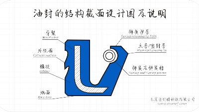 油封的結(jié)構(gòu)截面設(shè)計(jì)圖及說明1