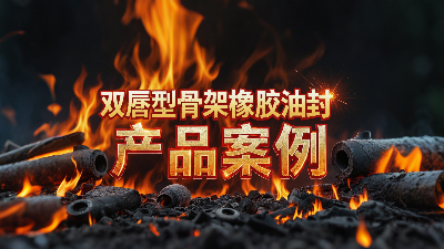 雙唇型骨架橡膠油封產(chǎn)品案例丨軸用密封大揭秘！高溫200℃下，憑啥成“防漏王者”？?