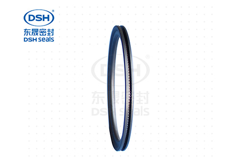 端面泛塞封PTD