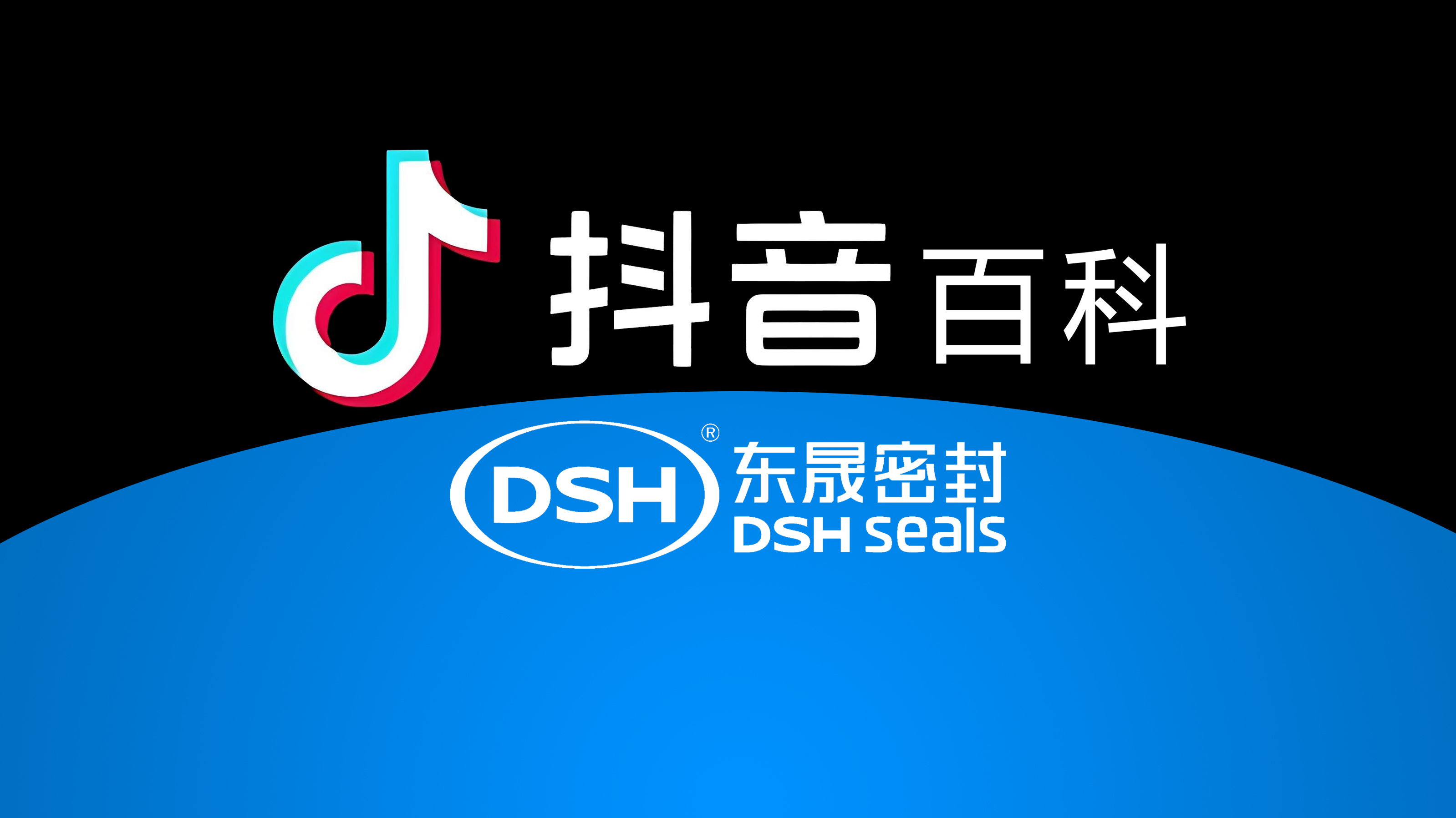 權(quán)威解讀，東晟密封件官方百科閃耀<i style='color:red'>抖音</i>！