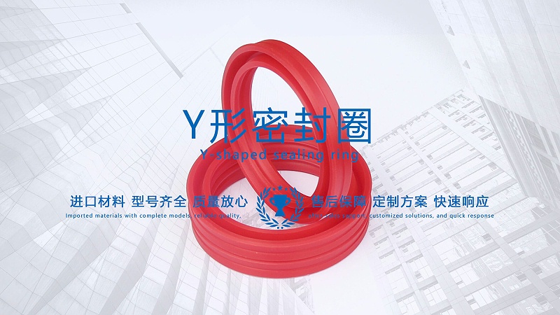 y型密封圈（又Y形密封圈，Y形圈，Y型圖或唇形密封圈，密封件油封膜片） (3)