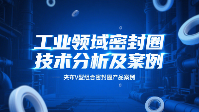 夾布V型組合密封圈 ? 工業(yè)領(lǐng)域密封圈技術(shù)分析及案例！
