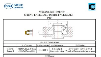 新版彈簧增強端面內(nèi)側密封