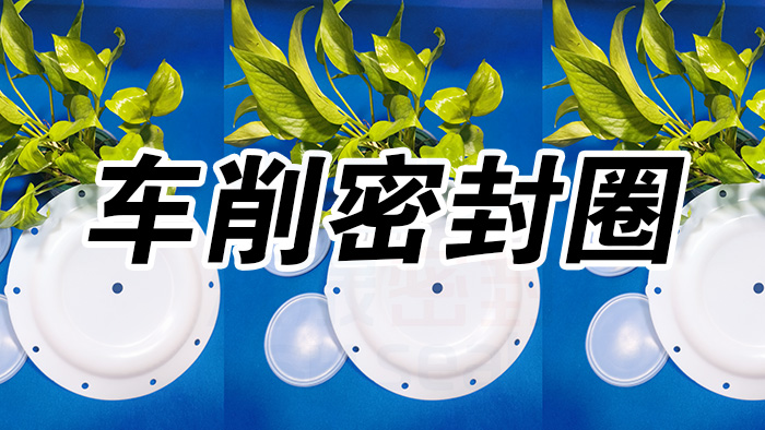 2車削密封圈，氣動隔膜泵膜片密封件