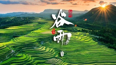 <i style='color:red'>谷雨</i>：春天的結(jié)束，生機的開始！