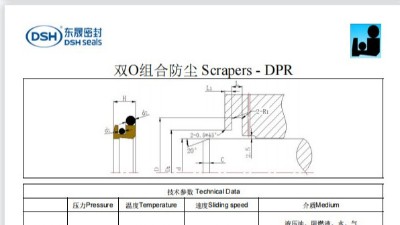 新版雙O組合防塵密封圈DPR規(guī)格尺寸表